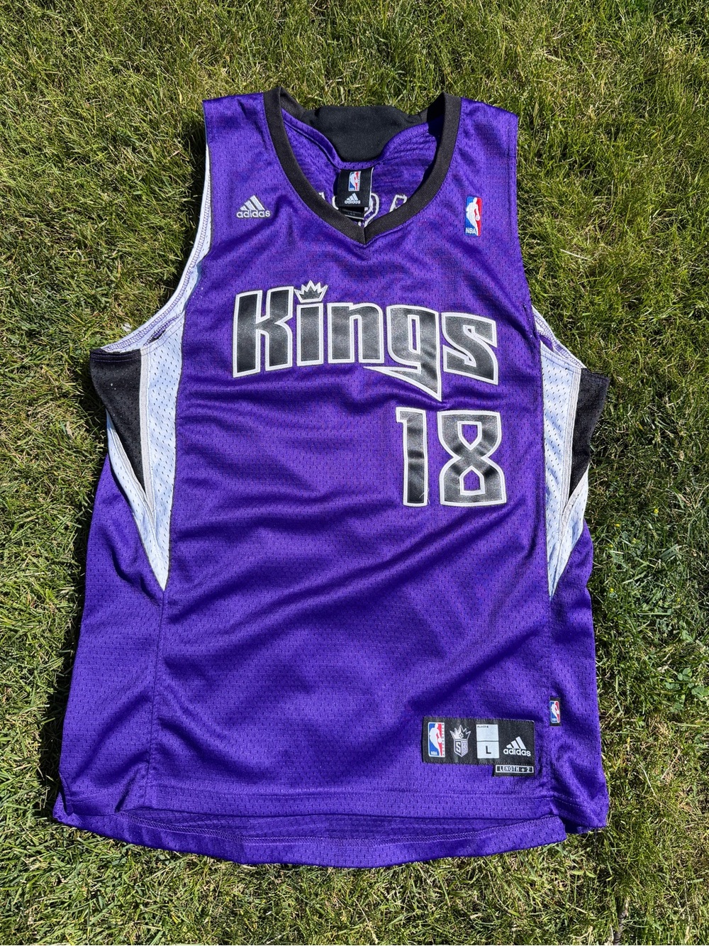 Adidas Sacramento Kings Omri Casspi NBA Jersey
Size Large